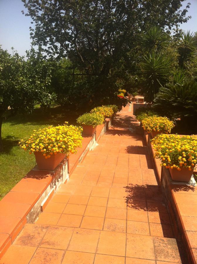 B&B Villa Irma Sorrento Eksteriør billede